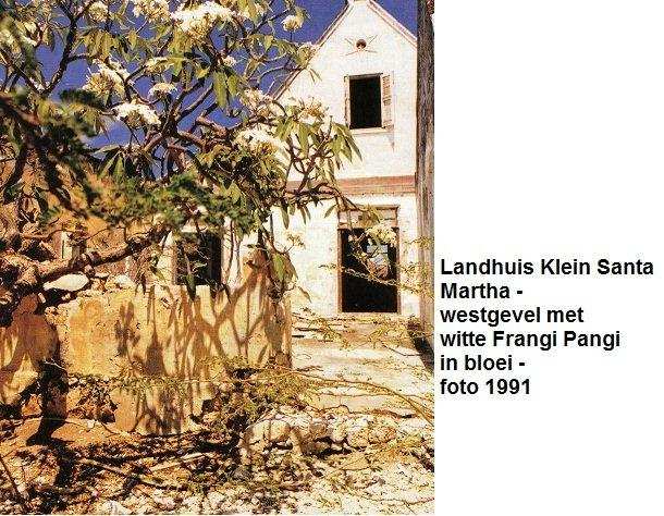 44. Klein Santa Martha westgevel bloeiende boom 1991